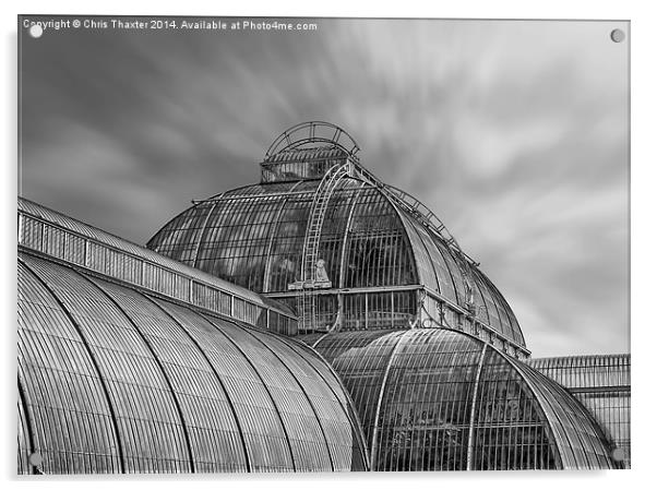 Temperate House Kew Gardens Black and White Acrylic by Chris Thaxter