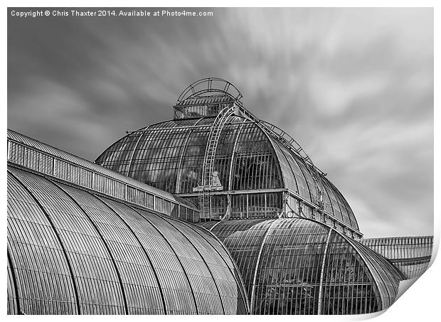 Temperate House Kew Gardens Black and White Print by Chris Thaxter