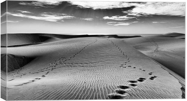 Footsteps in the Sand Canvas Print by Andy McGarry