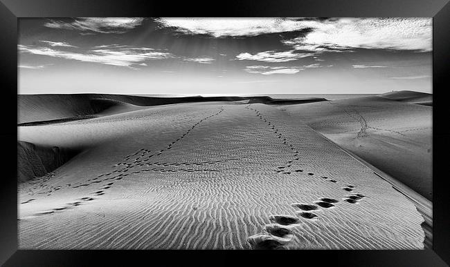 Footsteps in the Sand Framed Print by Andy McGarry