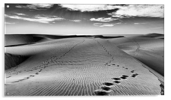Footsteps in the Sand Acrylic by Andy McGarry