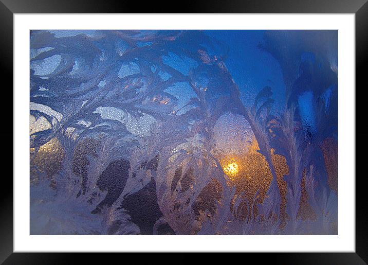 frost flowers at sunrise Framed Mounted Print by Eric Fouwels