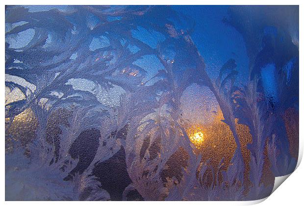 frost flowers at sunrise Print by Eric Fouwels