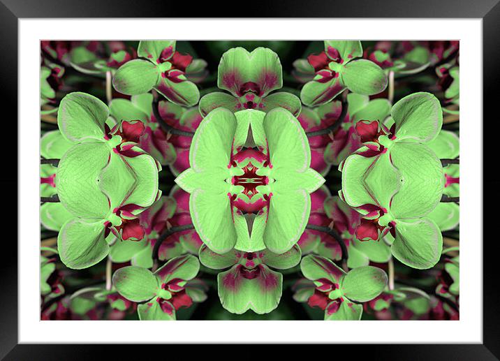 Green and red abstract 2 Framed Mounted Print by Ruth Hallam