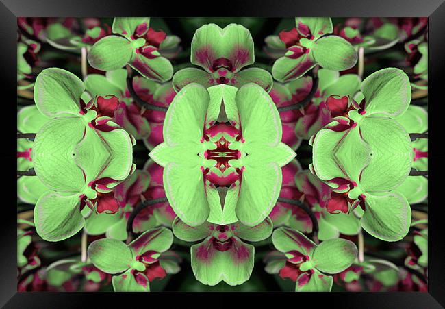 Green and red abstract 2 Framed Print by Ruth Hallam
