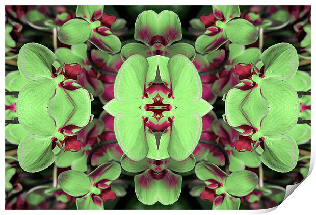 Green and red abstract 2 Print by Ruth Hallam