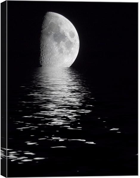 Moonset Canvas Print by Rob Lester