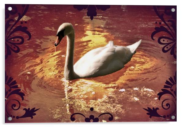 White Swan. Acrylic by Heather Goodwin