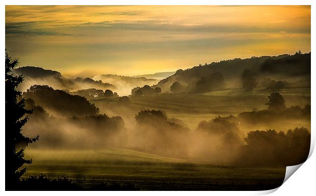 Early Morning in the Ardennes Print by Steven Else ARPS
