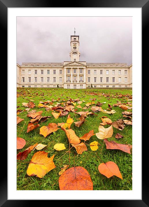 Autumn at the University Framed Mounted Print by Matt Cottam