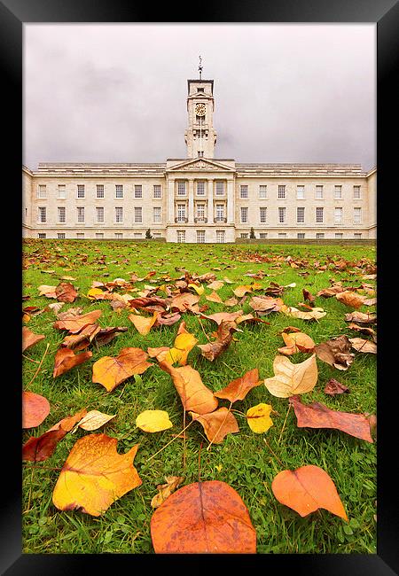 Autumn at the University Framed Print by Matt Cottam