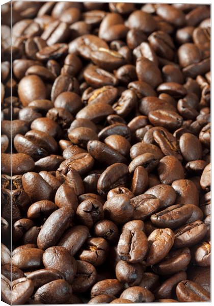 Rich and Aromatic Roasted Coffee Canvas Print by Tommy Dickson
