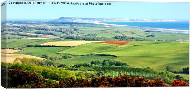 CHESIL VIEW Canvas Print by Anthony Kellaway