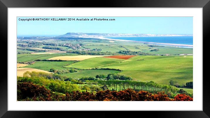 CHESIL VIEW Framed Mounted Print by Anthony Kellaway