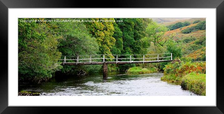 Bridge over the river Framed Mounted Print by Anthony Kellaway