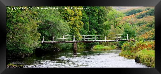 Bridge over the river Framed Print by Anthony Kellaway