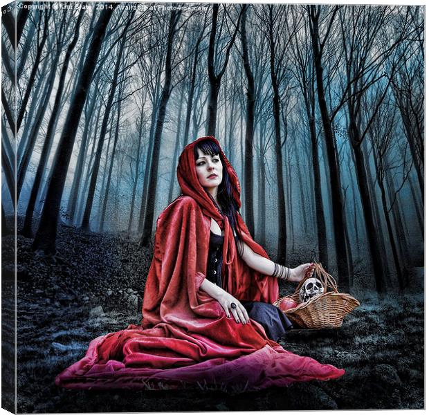 Red Riding Hood Canvas Print by Kim Slater