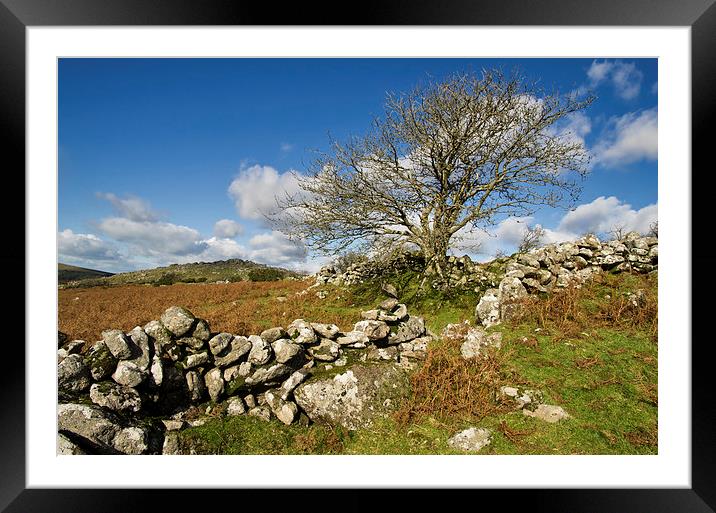 Dartmoor scene Framed Mounted Print by Pete Hemington