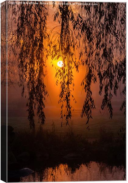 A new day Canvas Print by Matthew Bruce
