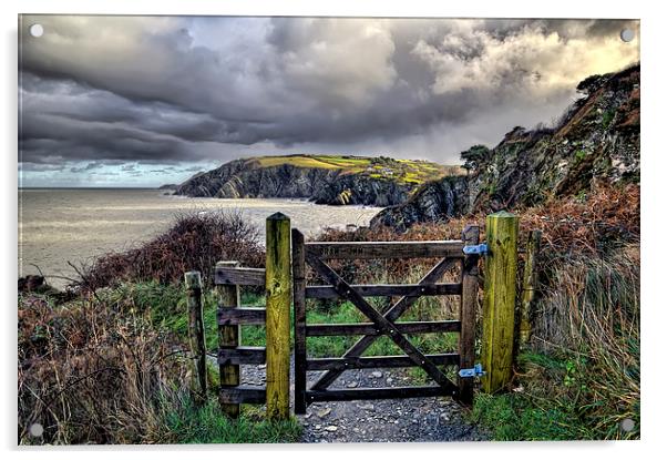 Sandy Cove, Lee Bay, North Devon Acrylic by Dave Wilkinson North Devon Ph