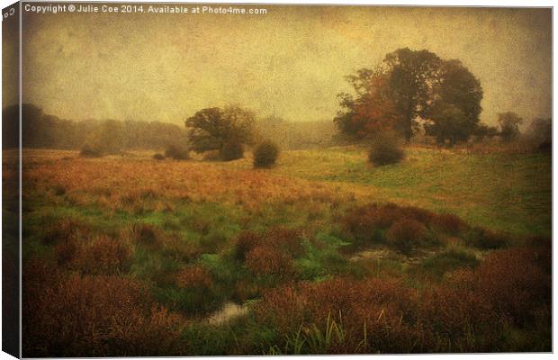Meadow Fog Canvas Print by Julie Coe