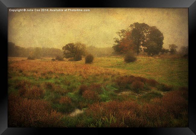 Meadow Fog Framed Print by Julie Coe