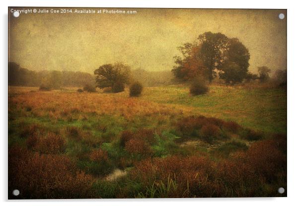 Meadow Fog Acrylic by Julie Coe