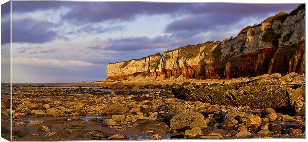 Hunstanton Wreck and Cliffs Canvas Print by Adrian Searle