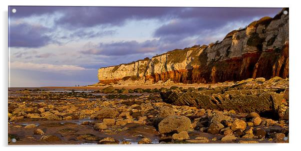 Hunstanton Wreck and Cliffs Acrylic by Adrian Searle