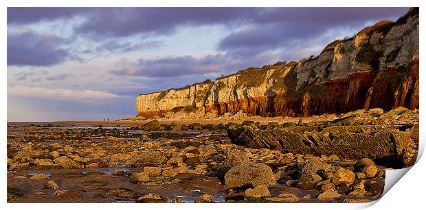 Hunstanton Wreck and Cliffs Print by Adrian Searle
