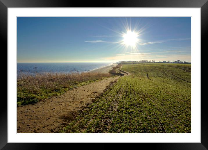Sunlit coastal walk at Benacre Suffolk Framed Mounted Print by Mark Ewels