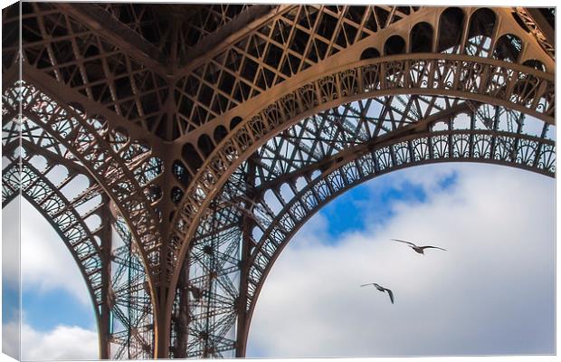 Birds under the Eiffel Tower Canvas Print by Eric Fouwels