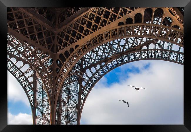 Birds under the Eiffel Tower Framed Print by Eric Fouwels
