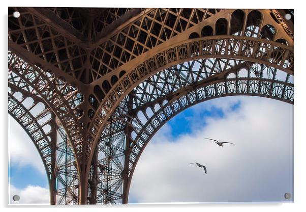Birds under the Eiffel Tower Acrylic by Eric Fouwels