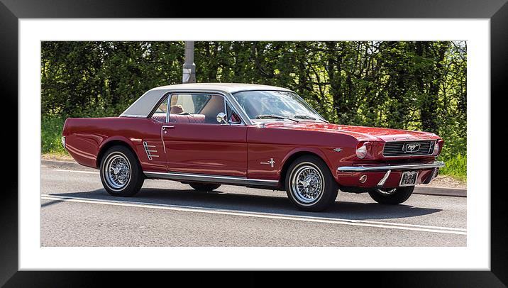 1966 Ford Mustang Framed Mounted Print by Mark Hobbs