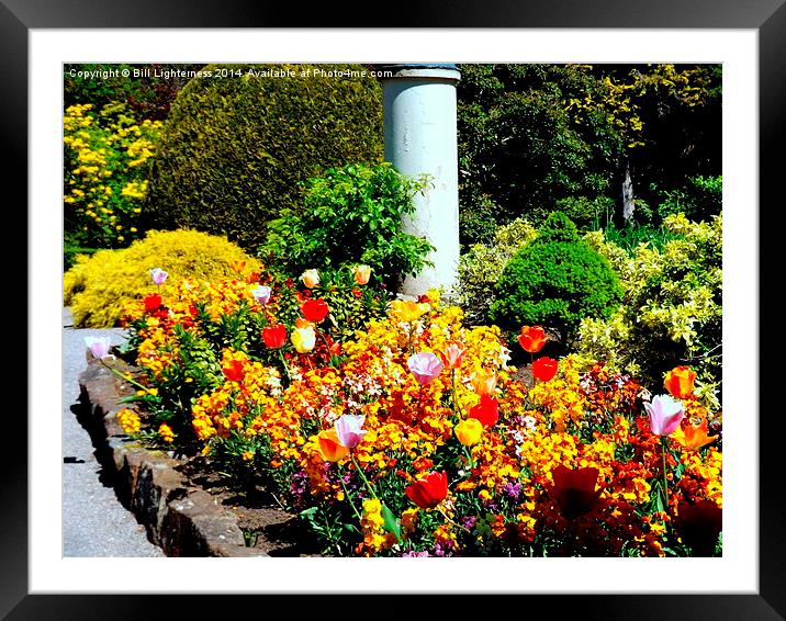 Colourful Gardens of Rememberance Framed Mounted Print by Bill Lighterness