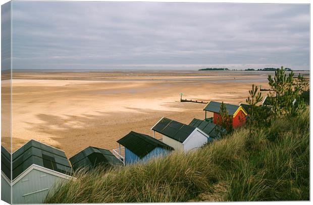 Beach huts and sunlit view out to sea. Canvas Print by Liam Grant
