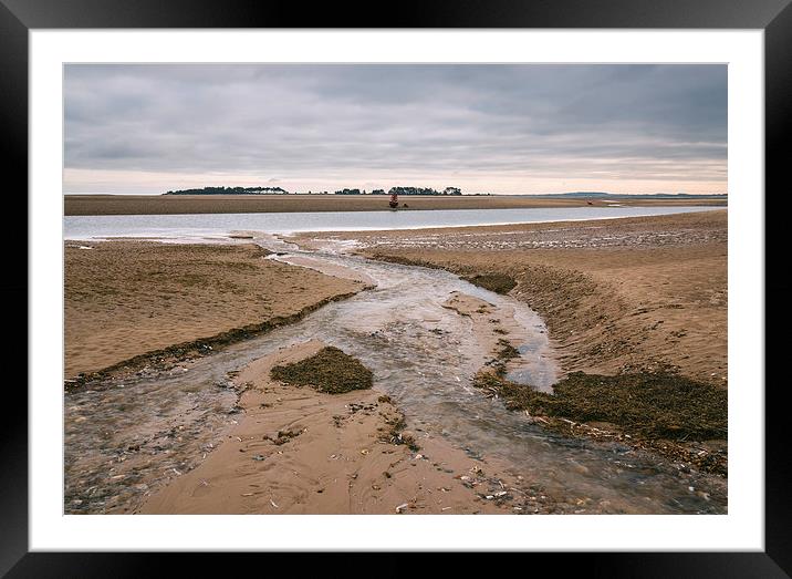 Low tide and dark skies. Framed Mounted Print by Liam Grant