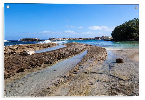 The North Coast of Curacao Acrylic by Gail Johnson