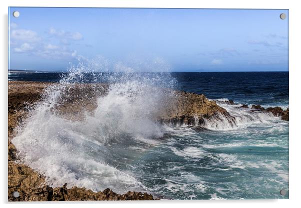 The North Coast of Curacao Acrylic by Gail Johnson