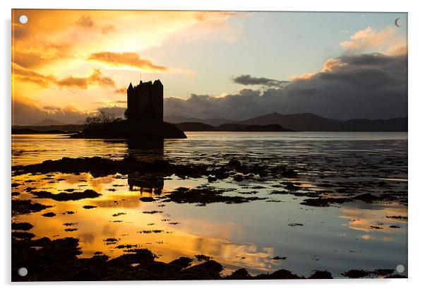 Castle Stalker Acrylic by Chris Willman