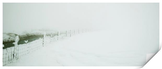 Winter in the field Print by Kevin Dobie