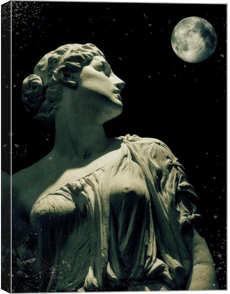 by moonlight Canvas Print by Heather Newton
