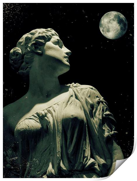 by moonlight Print by Heather Newton