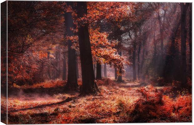 Fresh Autumn Woodlands Canvas Print by Ceri Jones