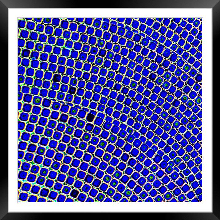 Blue Mosaic Framed Mounted Print by John B Walker LRPS