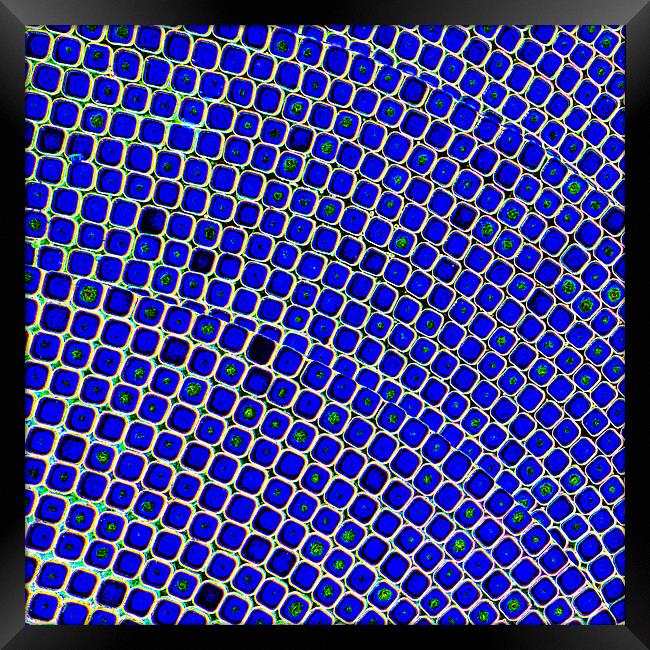Blue Mosaic Framed Print by John B Walker LRPS