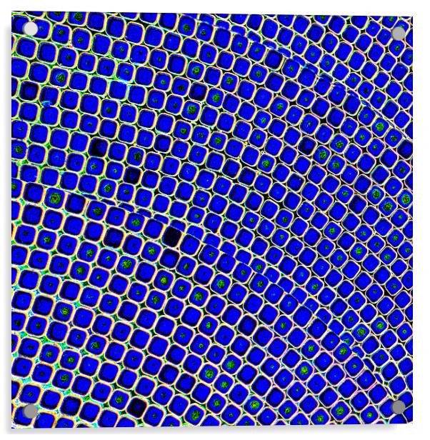 Blue Mosaic Acrylic by John B Walker LRPS