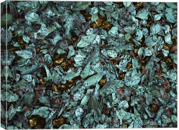 Patina Leaves Canvas Print by Mary Rath