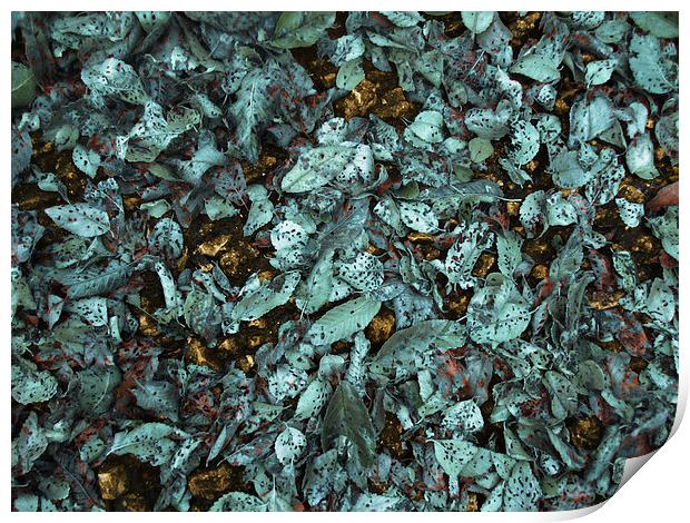 Patina Leaves Print by Mary Rath